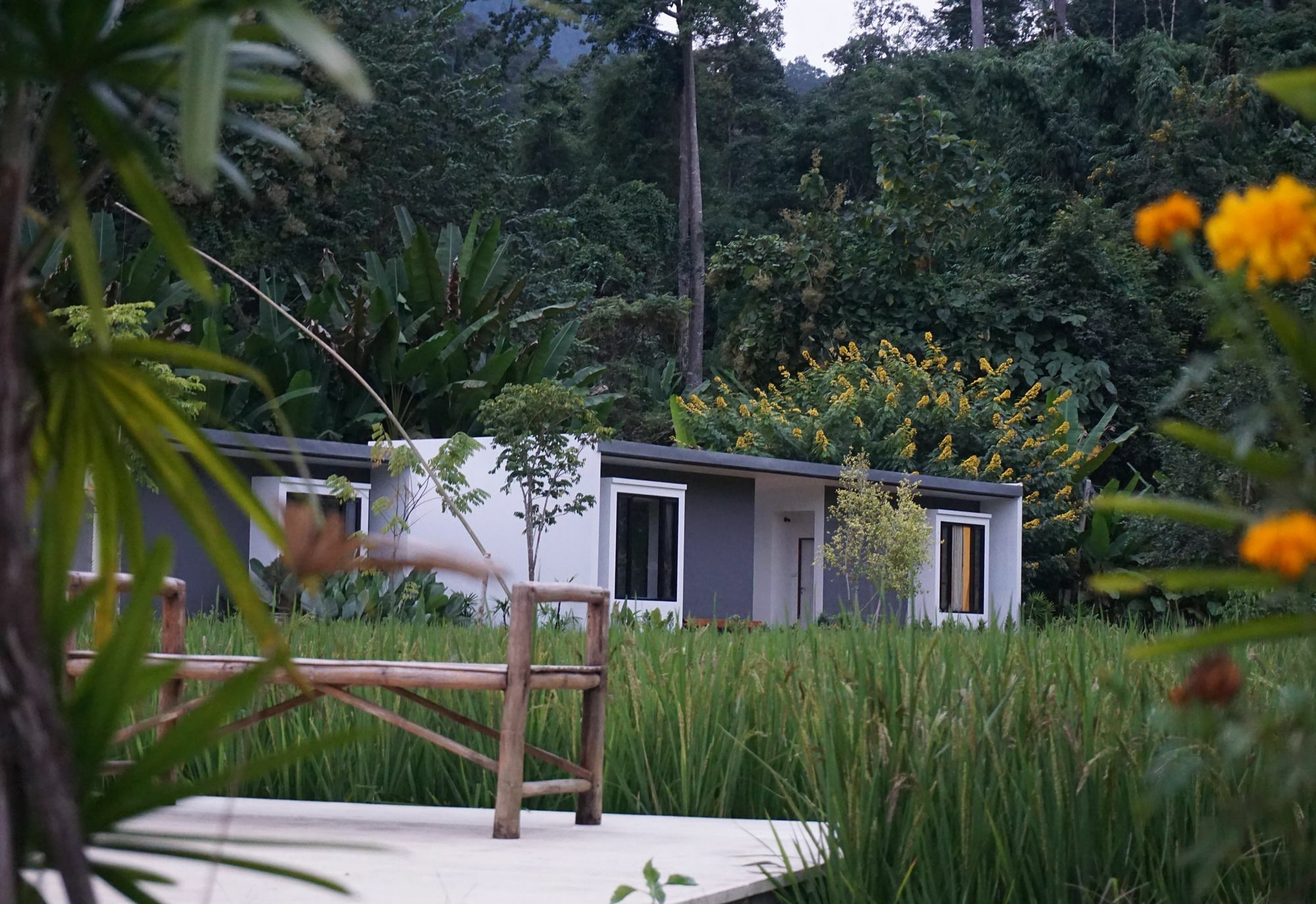Villa De View Chiang Dao Luaran gambar