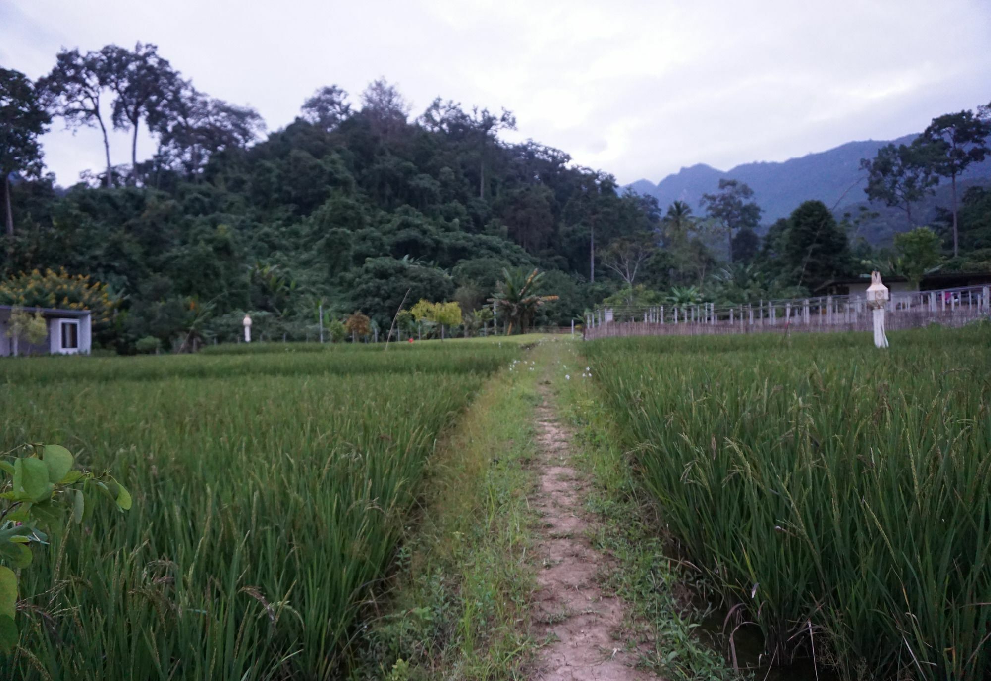 Villa De View Chiang Dao Luaran gambar